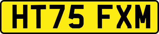 HT75FXM