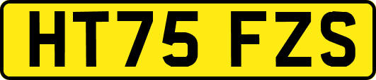 HT75FZS