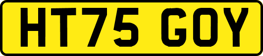 HT75GOY