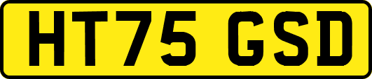 HT75GSD