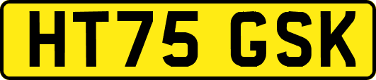 HT75GSK