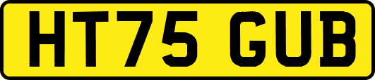 HT75GUB