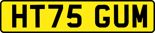 HT75GUM