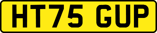 HT75GUP