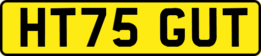 HT75GUT