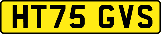 HT75GVS