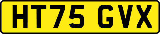 HT75GVX