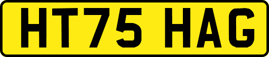 HT75HAG