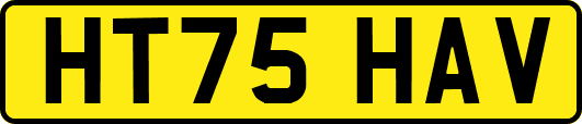 HT75HAV