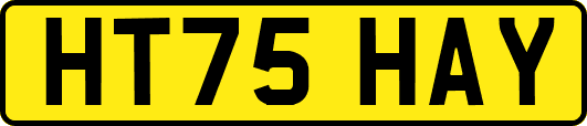 HT75HAY