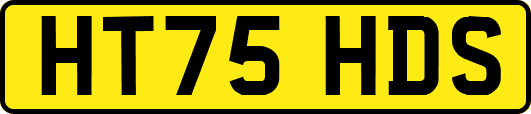 HT75HDS