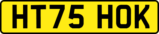 HT75HOK
