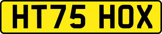 HT75HOX
