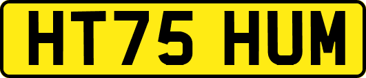 HT75HUM