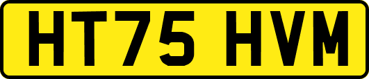 HT75HVM