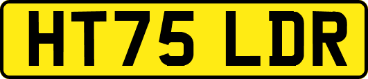 HT75LDR