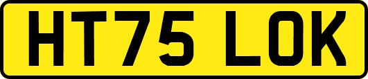 HT75LOK