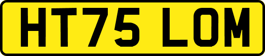 HT75LOM