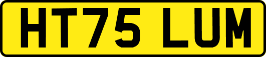 HT75LUM