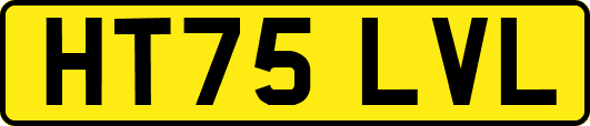 HT75LVL