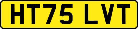 HT75LVT