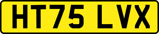 HT75LVX