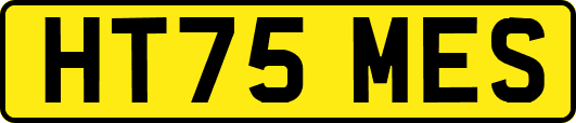 HT75MES