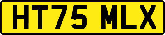 HT75MLX