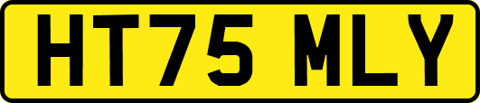 HT75MLY
