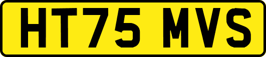 HT75MVS
