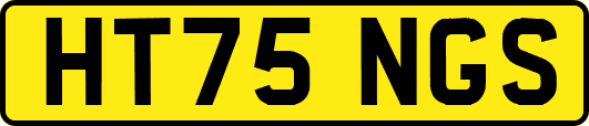 HT75NGS