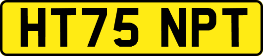 HT75NPT