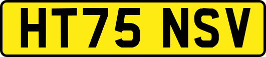 HT75NSV