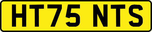 HT75NTS