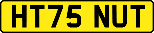 HT75NUT