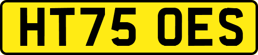 HT75OES