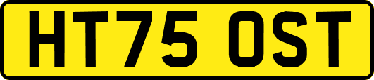 HT75OST