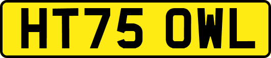 HT75OWL