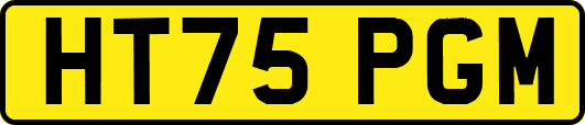HT75PGM