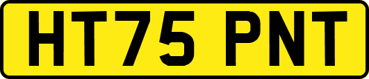 HT75PNT