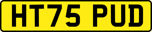 HT75PUD