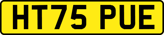 HT75PUE