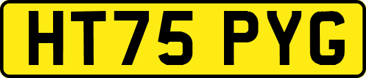 HT75PYG