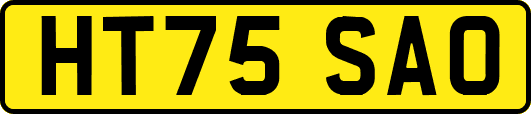 HT75SAO