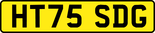HT75SDG