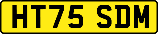 HT75SDM