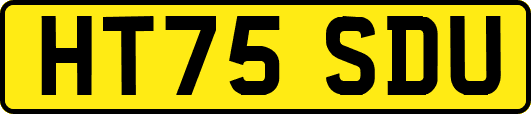 HT75SDU