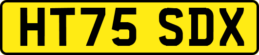 HT75SDX