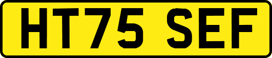 HT75SEF