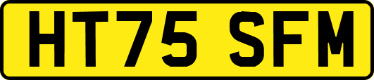 HT75SFM